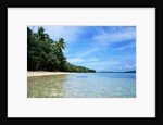 Tropical Coastline of Turtle Island by Corbis