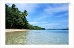 Tropical Coastline of Turtle Island by Corbis