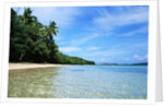 Tropical Coastline of Turtle Island by Corbis