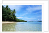 Tropical Coastline of Turtle Island by Corbis