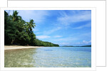 Tropical Coastline of Turtle Island by Corbis