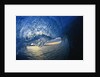 Inside Breaking Ocean Wave by Anonymous
