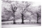 Trees and Fence in Snowy Field by Anonymous