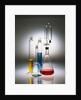 Graduated Cylinders and Flasks by Anonymous