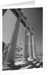 Columns of Architectural Ruin by Anonymous