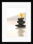 Flower Balancing on Rocks by Anonymous