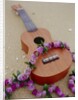 Ukelele and garland, elevated view by Anonymous