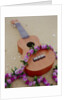 Ukelele and garland, elevated view by Anonymous