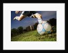 Soccer Player Kicking Ball by Anonymous