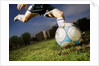 Soccer Player Kicking Ball by Anonymous