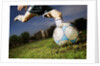 Soccer Player Kicking Ball by Anonymous