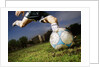 Soccer Player Kicking Ball by Anonymous