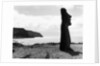 Moai by the Seashore by Anonymous