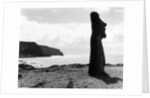 Moai by the Seashore by Anonymous