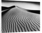 Nevada Desert Dunes by Anonymous