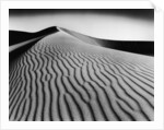 Nevada Desert Dunes by Anonymous
