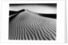 Nevada Desert Dunes by Anonymous