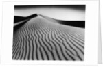 Nevada Desert Dunes by Anonymous
