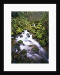 Brook Running Over Mossy Rocks by Anonymous