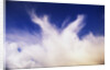 Clouds Changing Shape by Anonymous