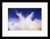 Clouds Changing Shape by Anonymous