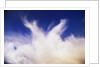 Clouds Changing Shape by Anonymous