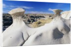 Badlands by Anonymous