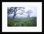 Oak Trees and Flowers in Meadow by Anonymous