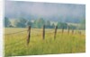 Rural Fence by Anonymous