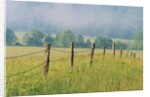 Rural Fence by Anonymous
