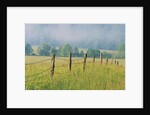 Rural Fence by Anonymous