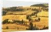 Italian Countryside of Val d'Orcia by Anonymous
