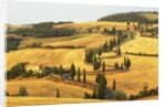 Italian Countryside of Val d'Orcia by Anonymous