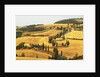 Italian Countryside of Val d'Orcia by Anonymous