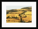 Italian Countryside of Val d'Orcia by Anonymous