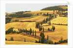 Italian Countryside of Val d'Orcia by Anonymous