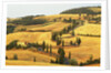 Italian Countryside of Val d'Orcia by Anonymous