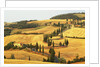 Italian Countryside of Val d'Orcia by Anonymous