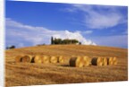 Hay Bales and Farmhouse in Val d'Orcia by Anonymous