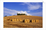 Hay Bales and Farmhouse in Val d'Orcia by Anonymous