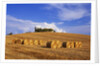Hay Bales and Farmhouse in Val d'Orcia by Anonymous