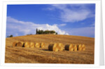 Hay Bales and Farmhouse in Val d'Orcia by Anonymous