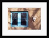 Skull and Window on Adobe Building by Anonymous