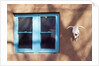 Skull and Window on Adobe Building by Anonymous