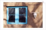 Skull and Window on Adobe Building by Anonymous