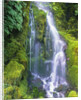 Waterfall by Anonymous
