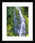 Waterfall by Anonymous