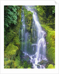 Waterfall by Anonymous