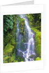 Waterfall by Anonymous