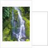 Waterfall by Anonymous